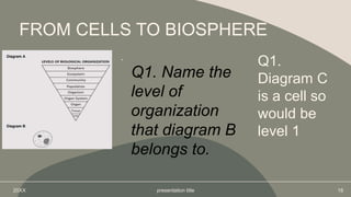 .
20XX presentation title 18
FROM CELLS TO BIOSPHERE
Q1.
Diagram C
is a cell so
would be
level 1
Q1. Name the
level of
organization
that diagram B
belongs to.
 