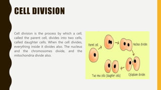 From Cells to Organisms | PPTX