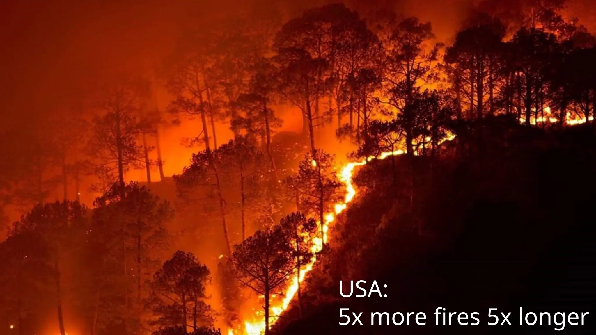 41
41
USA:
5x more fires 5x longer
 