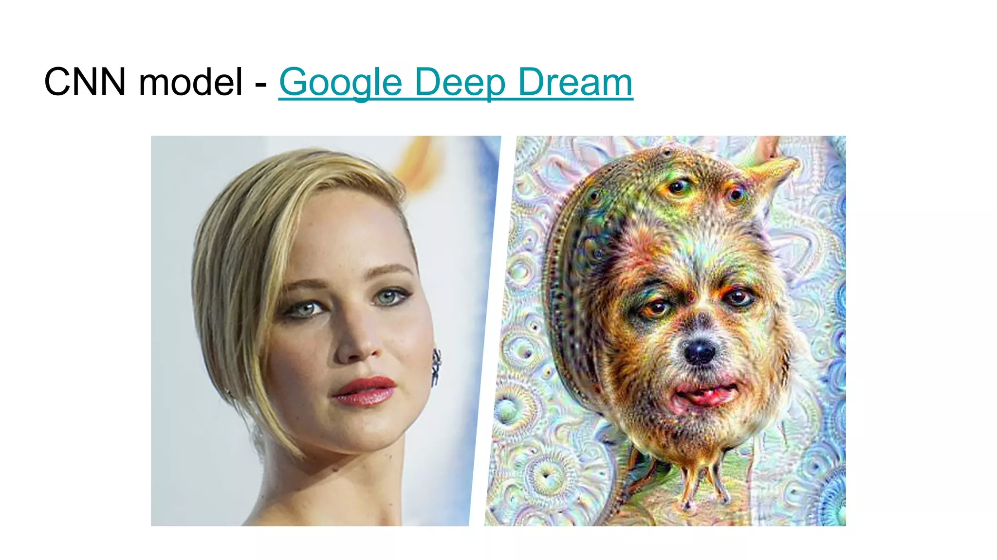 CNN model - Google Deep Dream
 