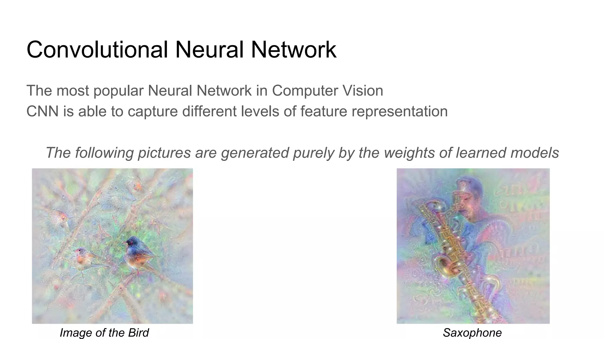 Convolutional Neural Network
The most popular Neural Network in Computer Vision
CNN is able to capture different levels of feature representation
The following pictures are generated purely by the weights of learned models
Image of the Bird Saxophone
 
