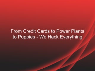 From Credit Cards to Power Plants 
to Puppies - We Hack Everything 
 