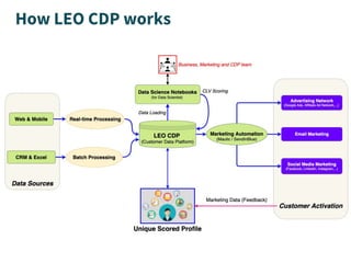 How LEO CDP works
 