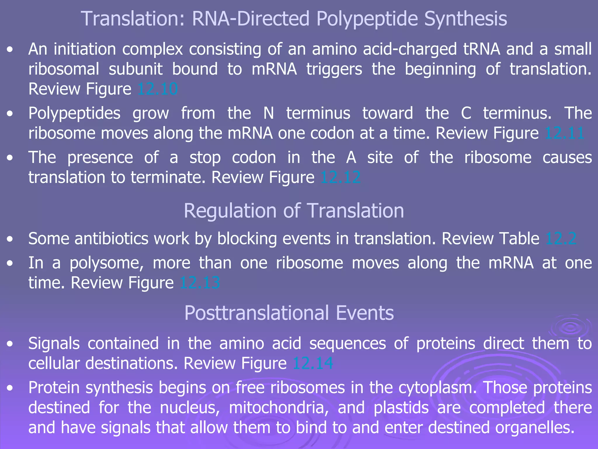 From dna to protein genotype to phenotype | PPT