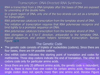 From dna to protein genotype to phenotype | PPT