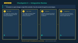Knowledge Check
Checkpoint 4 — Integrative Review
Scenario
A mutation in a gene changes a single DNA nucleotide. Trace the cascade through the central dogma:
1 DNA mRNA
→
How might this mutation affect
the mRNA sequence produced
during transcription?
2 mRNA Protein
→
How might the altered mRNA
codon affect the protein's
primary structure?
3 3D Structure
Could this change the protein's
tertiary structure? Under what
conditions?
4 Real-World Case
Name one real-world disease
caused by exactly this chain of
events. Explain the link.
This is the "so what?" of everything we've covered today — make the connections explicit.
 