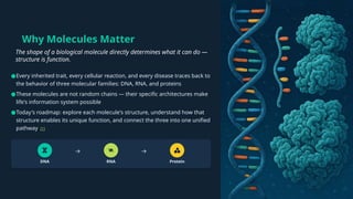 Why Molecules Matter
The shape of a biological molecule directly determines what it can do —
structure is function.
DNA RNA Protein
●Every inherited trait, every cellular reaction, and every disease traces back to
the behavior of three molecular families: DNA, RNA, and proteins
●These molecules are not random chains — their specific architectures make
life's information system possible
●Today's roadmap: explore each molecule's structure, understand how that
structure enables its unique function, and connect the three into one unified
pathway [1]
 