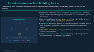 Proteins — Amino Acid Building Blocks
Twenty amino acids, each with a unique side chain, are the raw material whose sequence dictates every protein's architecture and
function.
Amino Acid Structure
Cα
NH₂
Amino
N-terminus
COOH
Carboxyl
C-terminus
H
R-group
Side Chain
determines properties
R-group drives polarity, charge & folding behavior
Polar Nonpolar Acidic Basic
Biology Department | June 2026 9 / 15
● Proteins are polymers of amino acids joined by peptide bonds — covalent
bonds between the carboxyl group of one amino acid and the amino group of
the next. [5]
● Each amino acid has: a central α-carbon, an amino group (–NH₂), a carboxyl
group (–COOH), and a unique R-group (side chain)
● The R-group determines whether an amino acid is polar or nonpolar, acidic or
basic, charged or uncharged — these chemical properties drive protein
folding
● 20 standard amino acids virtually unlimited sequence diversity vast functional
→ →
diversity across all proteins
● The N-terminus (amino end) → C-terminus (carboxyl end) reading direction
encodes meaning, just like letters in a sentence
 