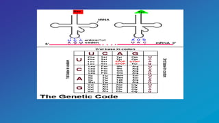 ‫اميني‬ ‫حامض‬
 