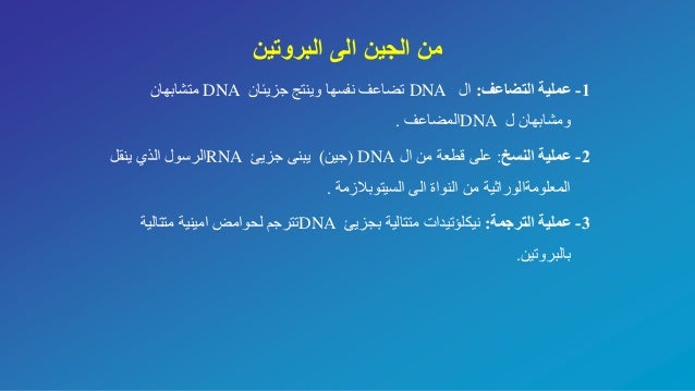 From Dna To Rna