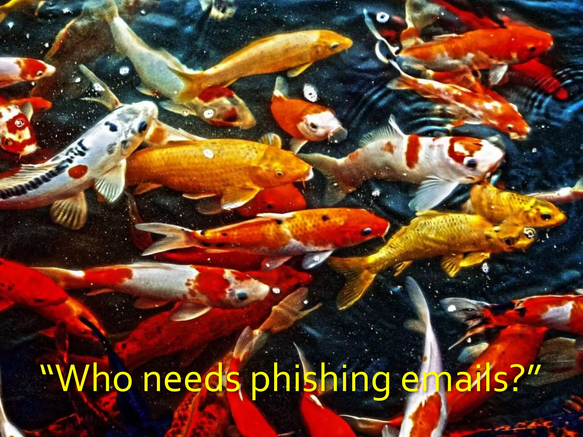 If your government plans to change its
time zone boundaries or daylight saving rules,
let the mailing list know well in advance.
“Hey y’all, just FYI…”
 