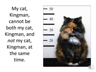 My cat, 
Kingman, 
cannot be 
both my cat, 
Kingman, and 
not my cat, 
Kingman, at 
the same 
time. 
32 
 