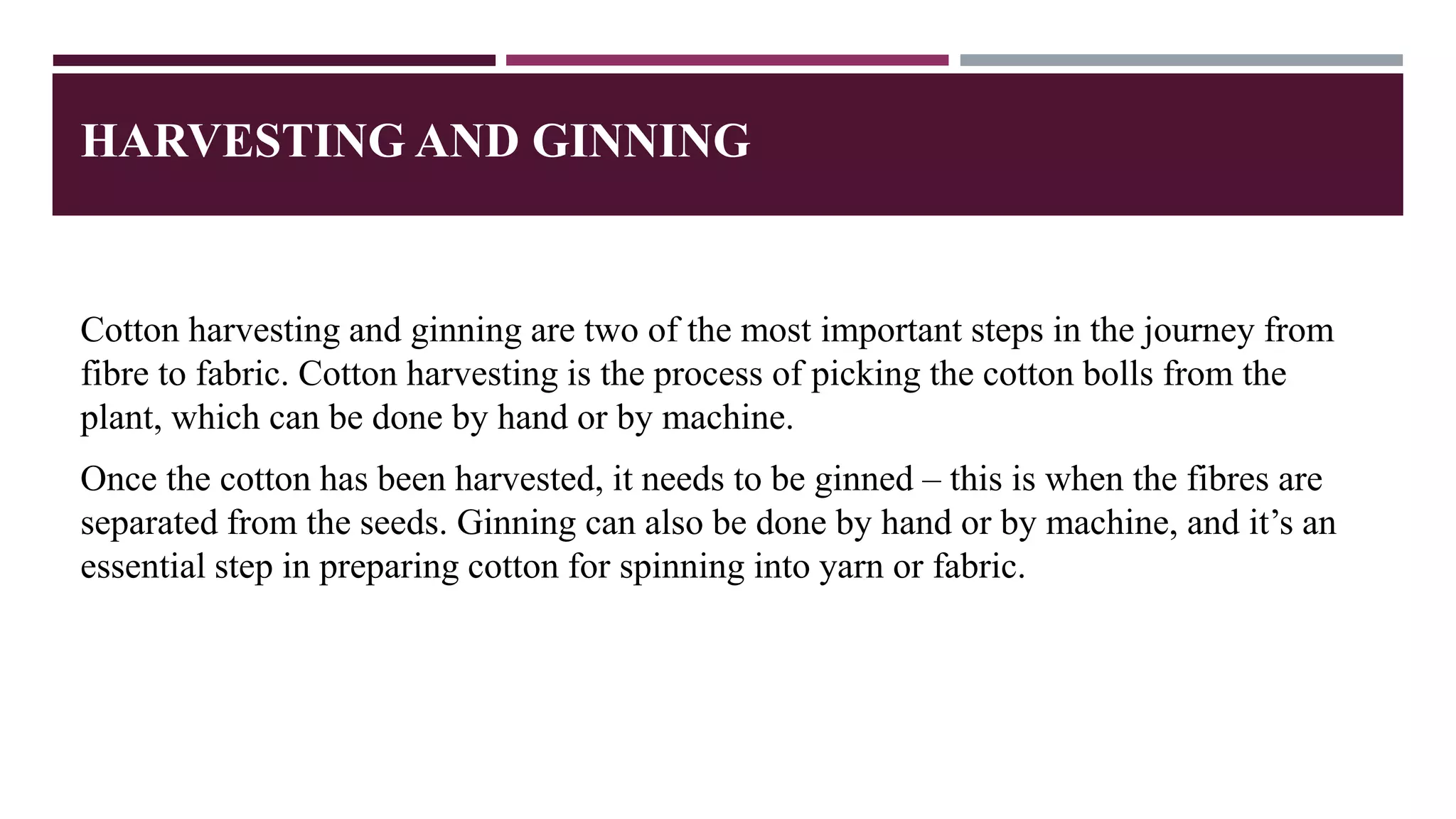 From Fibre To Fabric The Fascinating Journey Of Cotton From Fibre To ...