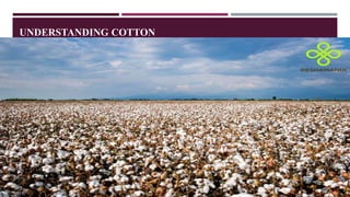 From Fibre To Fabric The Fascinating Journey Of Cotton From Fibre To ...
