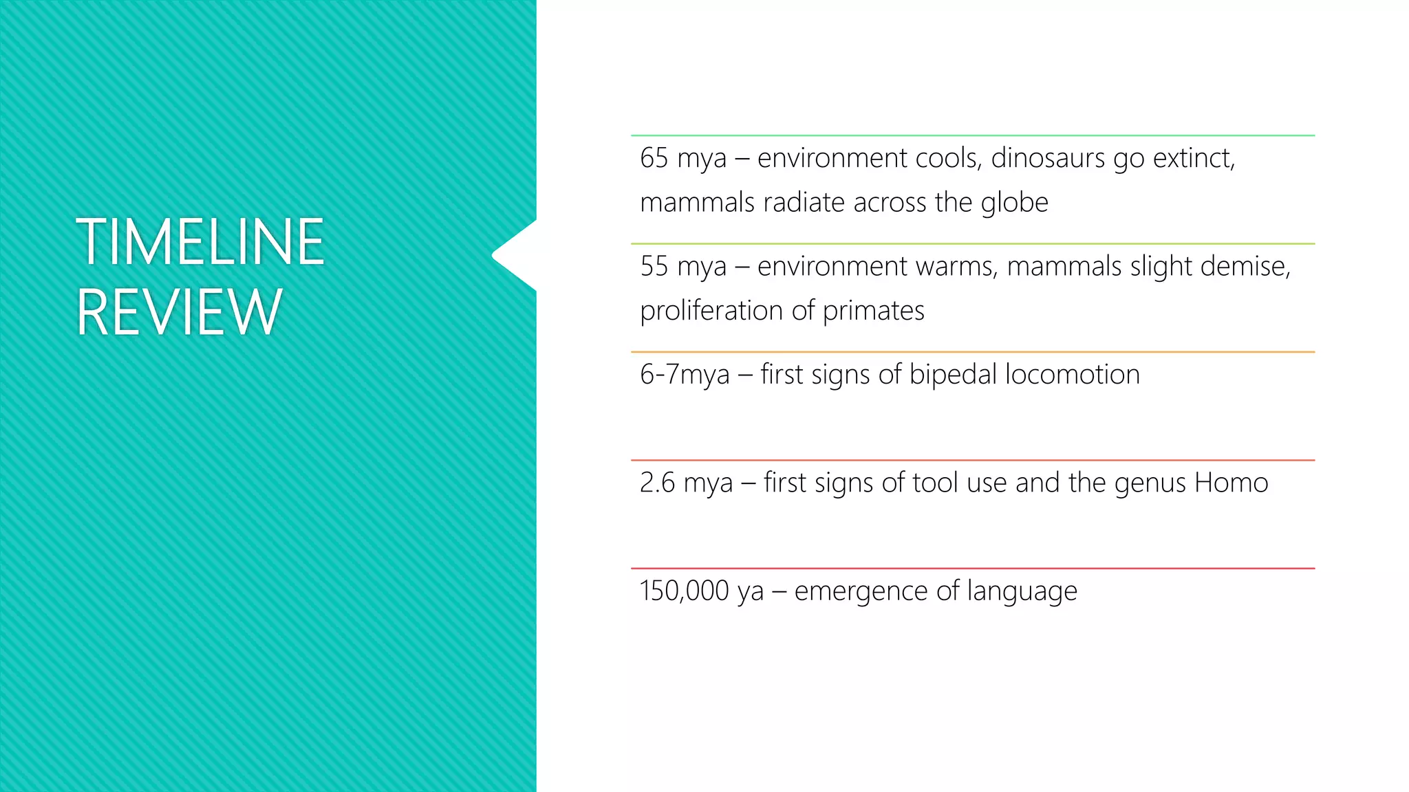 TIMELINE
REVIEW
65 mya – environment cools, dinosaurs go extinct,
mammals radiate across the globe
55 mya – environment warms, mammals slight demise,
proliferation of primates
6-7mya – first signs of bipedal locomotion
2.6 mya – first signs of tool use and the genus Homo
150,000 ya – emergence of language
 