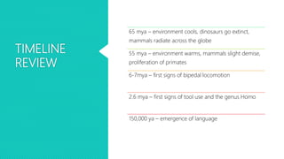 TIMELINE
REVIEW
65 mya – environment cools, dinosaurs go extinct,
mammals radiate across the globe
55 mya – environment warms, mammals slight demise,
proliferation of primates
6-7mya – first signs of bipedal locomotion
2.6 mya – first signs of tool use and the genus Homo
150,000 ya – emergence of language
 
