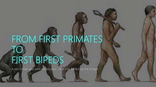 FROM FIRST PRIMATES
TO
FIRST BIPEDS
A non-linear and intricate process… don’t be fooled by the image!
 