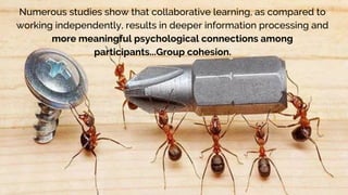 Numerous studies show that collaborative learning, as compared to
working independently, results in deeper information processing and
more meaningful psychological connections among
participants...Group cohesion.
 