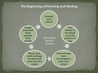 Taming Definition From gathering to growing food | PPTX