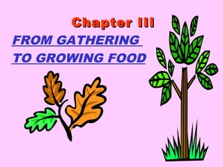 Chapter IIIChapter III
FROM GATHERING
TO GROWING FOOD
 