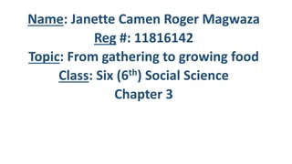 Name: Janette Camen Roger Magwaza
Reg #: 11816142
Topic: From gathering to growing food
Class: Six (6th) Social Science
Chapter 3
 
