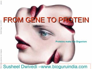 FROM GENE TO PROTEIN Susheel Dwivedi –www.bioguruindia.com Proteins make the Organism 