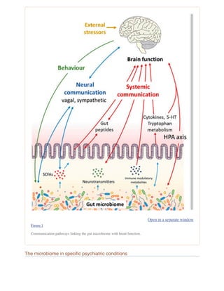 From gut dysbiosis to altered brain function and mental illness ...