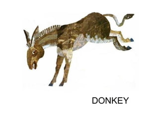 DONKEY
 