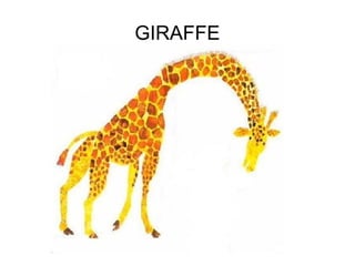 GIRAFFE
 