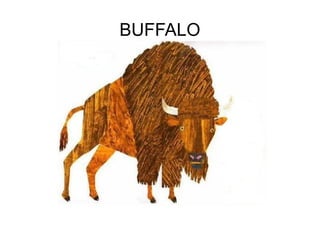 BUFFALO
 