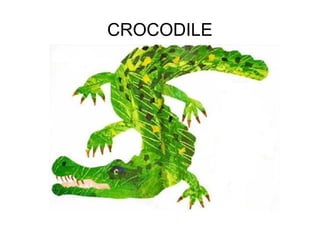 CROCODILE
 