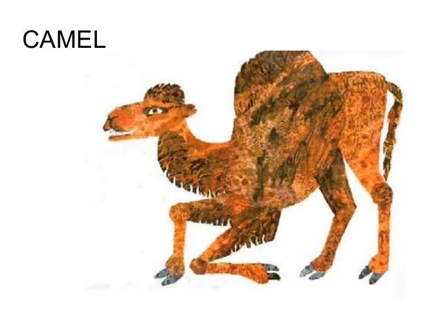 Eric Camel From head to toe
