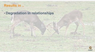Results in ..
• Degradation in relationships
 