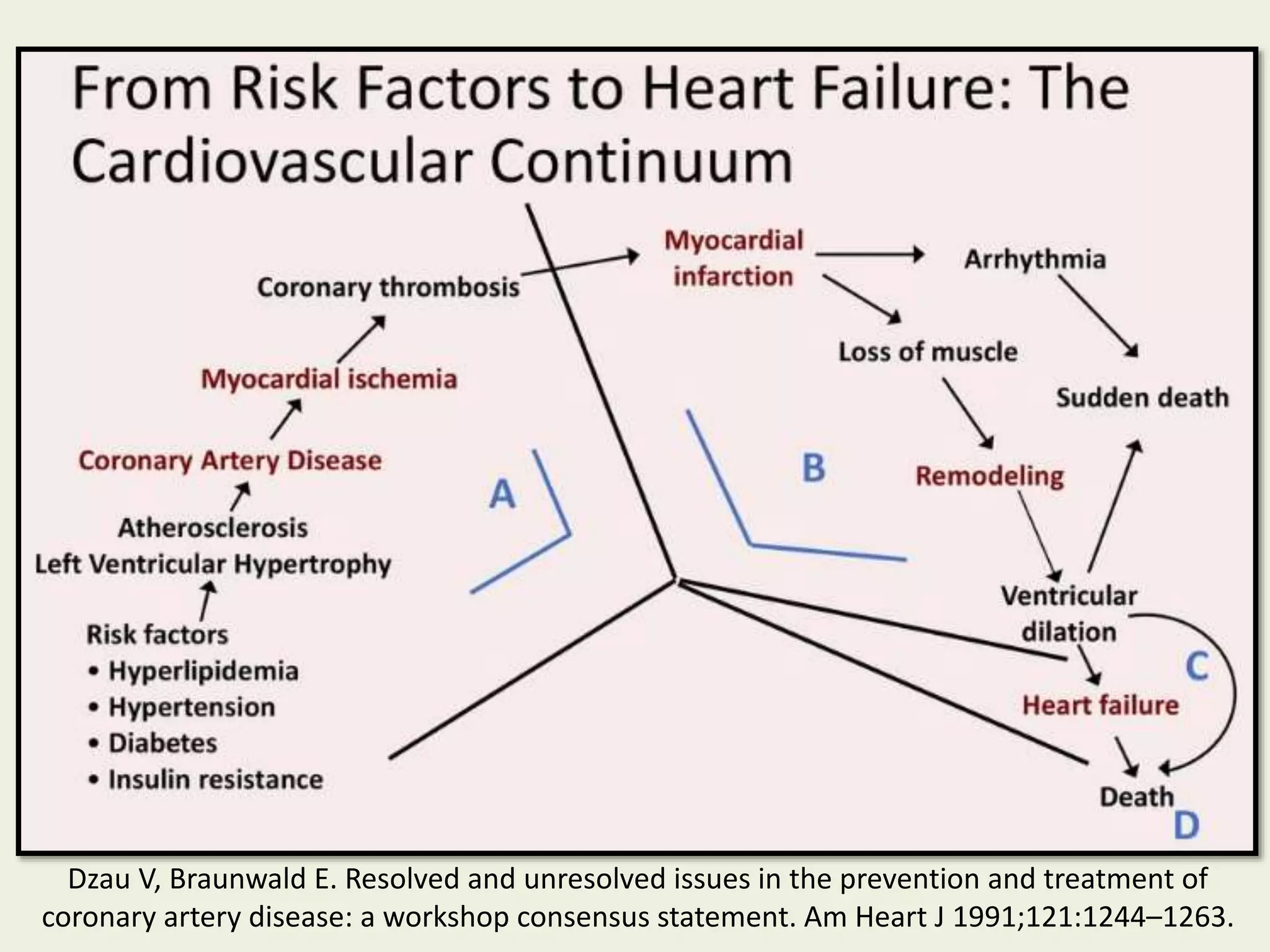 The Progression of Hypertensive Heart Disease.From hypertension to ...