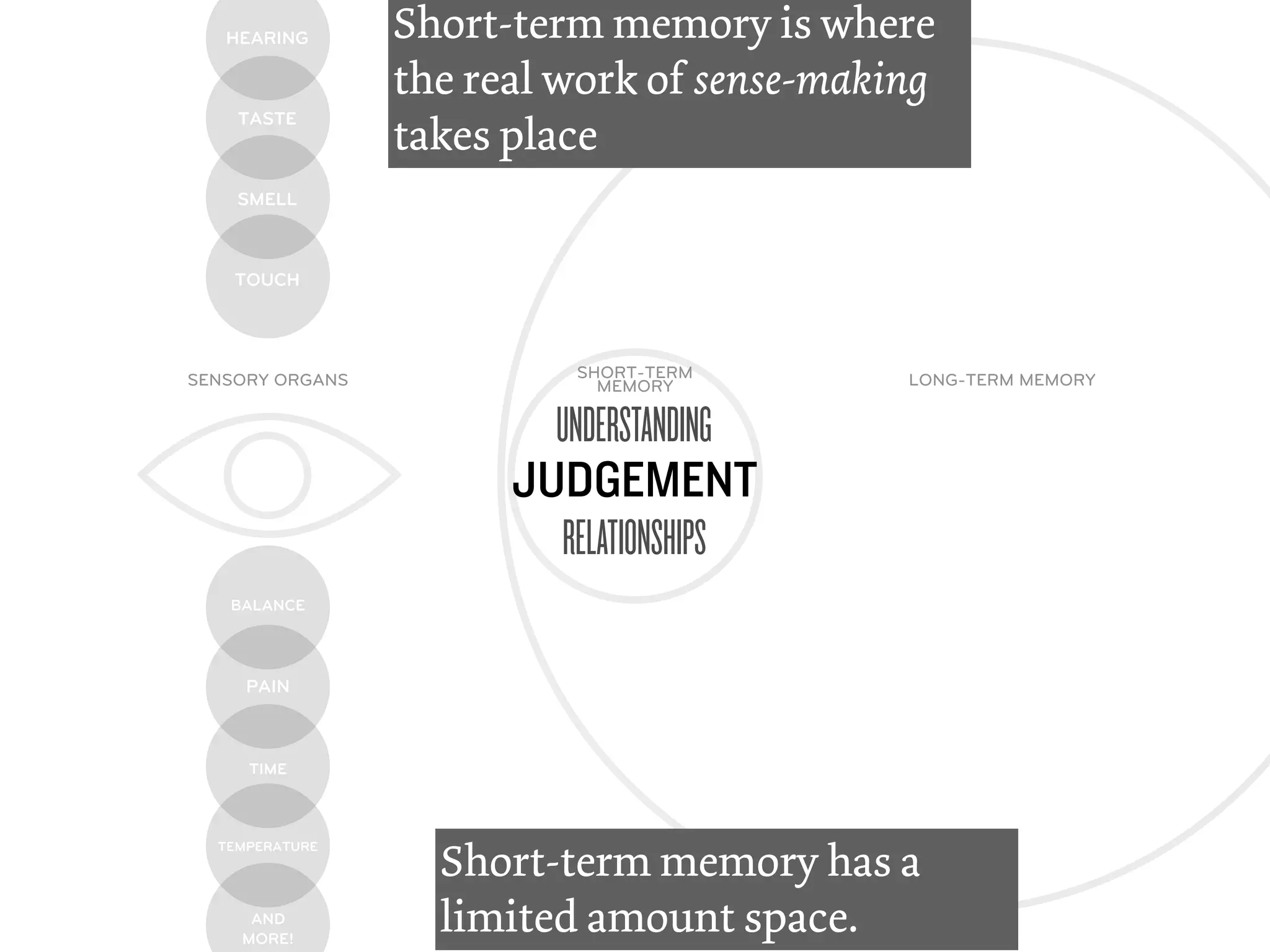 HEARING       Short-term memory is where
                 the real work of sense-making
    TASTE
                 takes place
    SMELL



    TOUCH




SENSORY ORGANS            SHORT-TERM        LONG-TERM MEMORY
                            MEMORY

                         UNDERSTANDING
                       JUDGEMENT
                         RELATIONSHIPS
   BALANCE




     PAIN



     TIME




                   Short-term memory has a
  TEMPERATURE




     AND
    MORE!
                   limited amount space.
 
