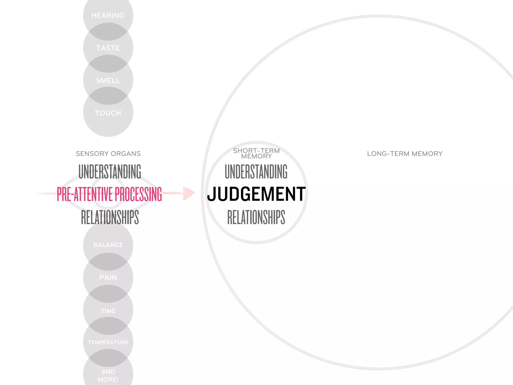 HEARING



         TASTE



         SMELL



        TOUCH




    SENSORY ORGANS            SHORT-TERM     LONG-TERM MEMORY
                                MEMORY

     UNDERSTANDING           UNDERSTANDING
PRE-ATTENTIVE PROCESSING   JUDGEMENT
      RELATIONSHIPS          RELATIONSHIPS
        BALANCE




          PAIN



          TIME



       TEMPERATURE




          AND
         MORE!
 