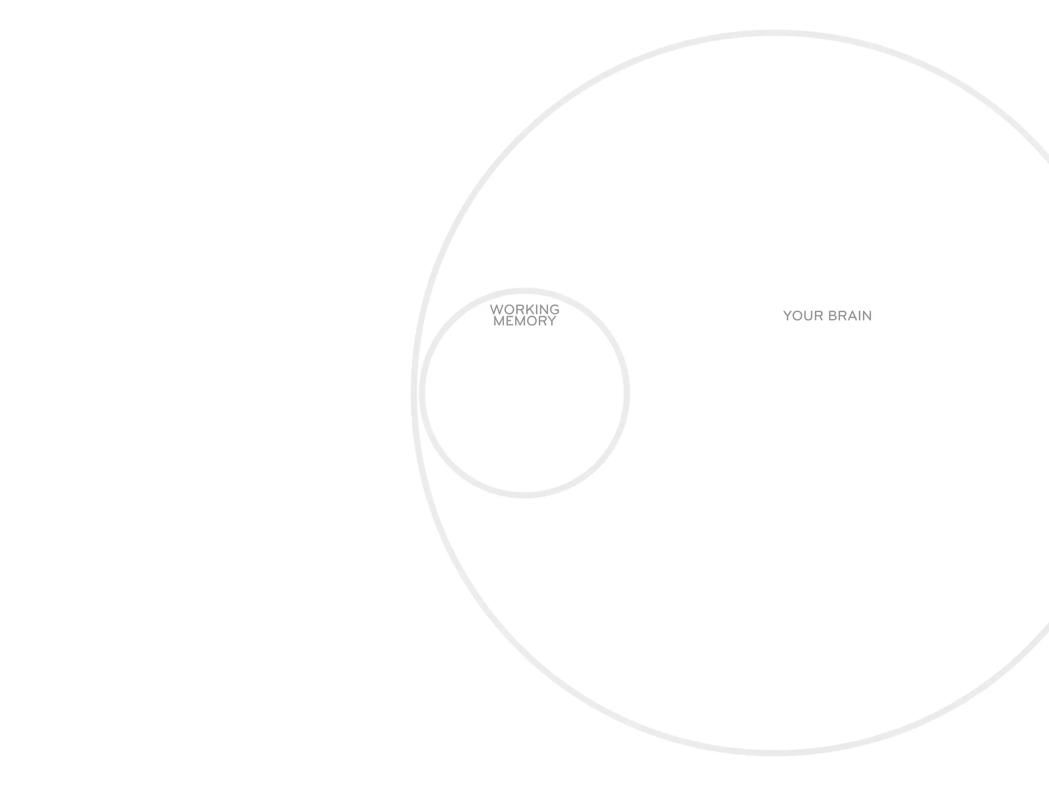 WORKING   YOUR BRAIN
MEMORY
 