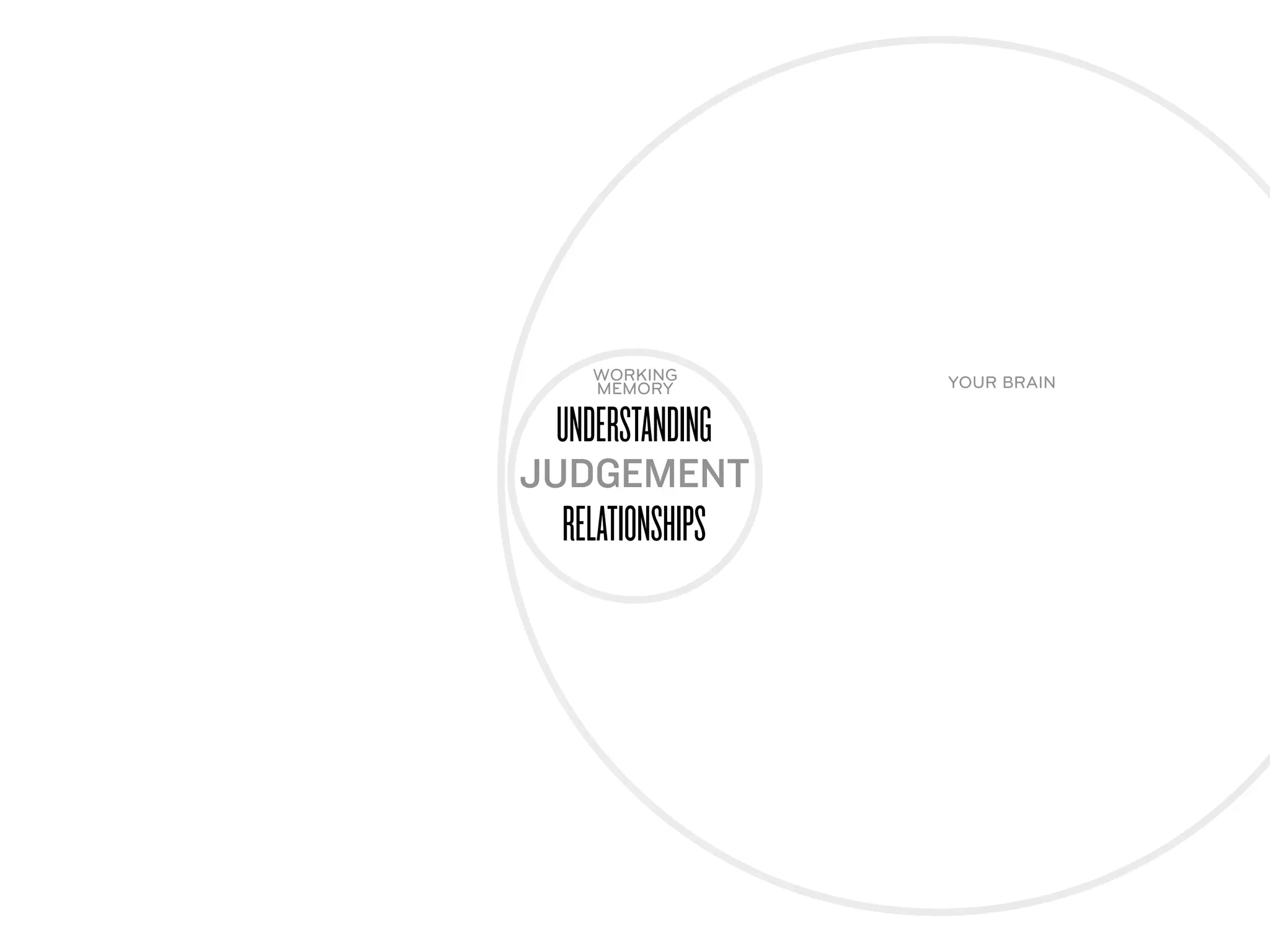 WORKING      YOUR BRAIN
    MEMORY

 UNDERSTANDING
JUDGEMENT
 RELATIONSHIPS
 