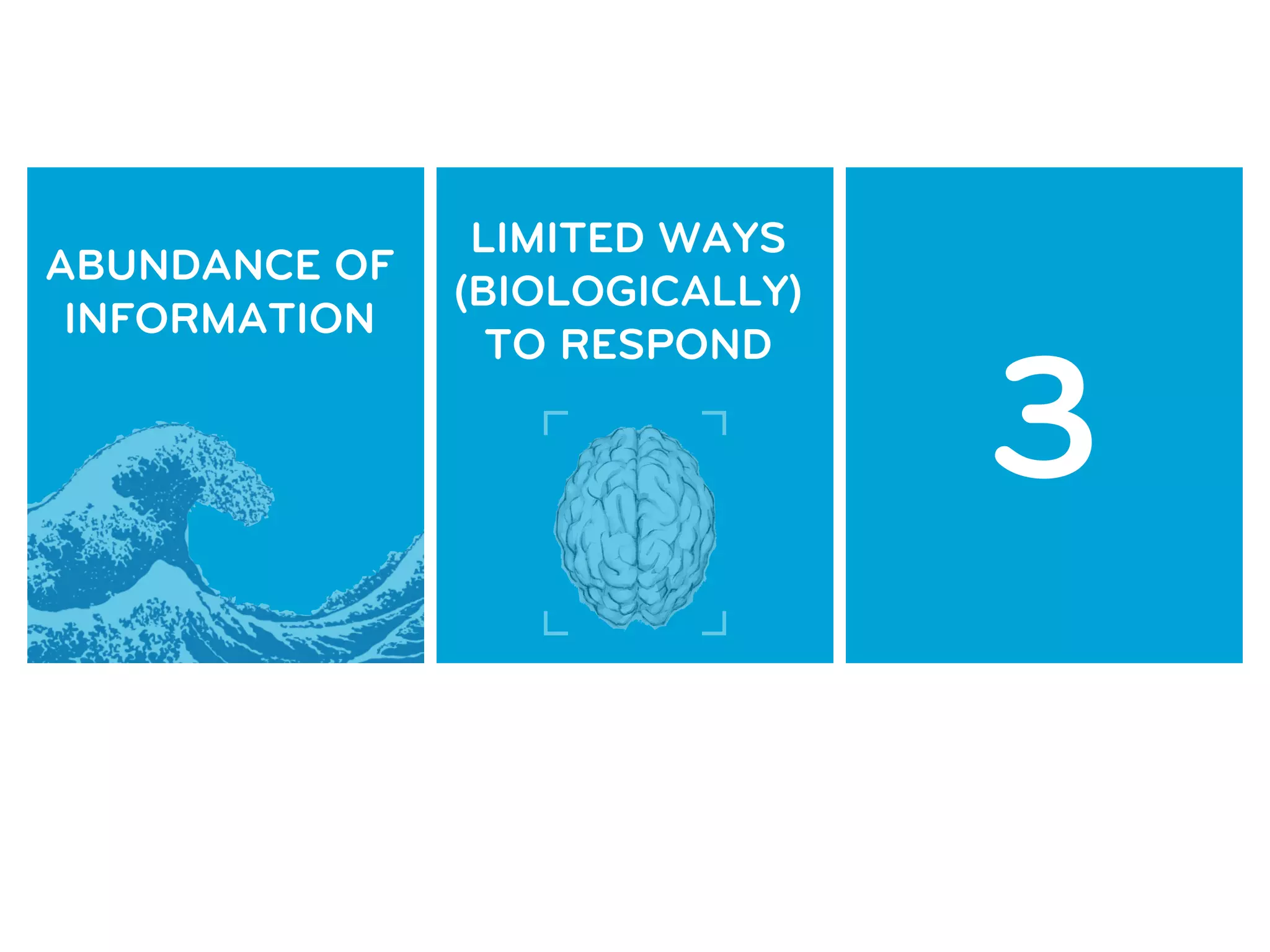 LIMITED WAYS
ABUNDANCE OF
               (BIOLOGICALLY)   CRUD* TOOLS
 INFORMATION


                                   3
                 TO RESPOND
 