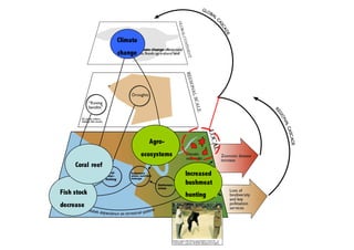 Fish stock
decrease
Increased
bushmeat
hunting
Coral reef
Agro-
ecosystems
Climate
change
 