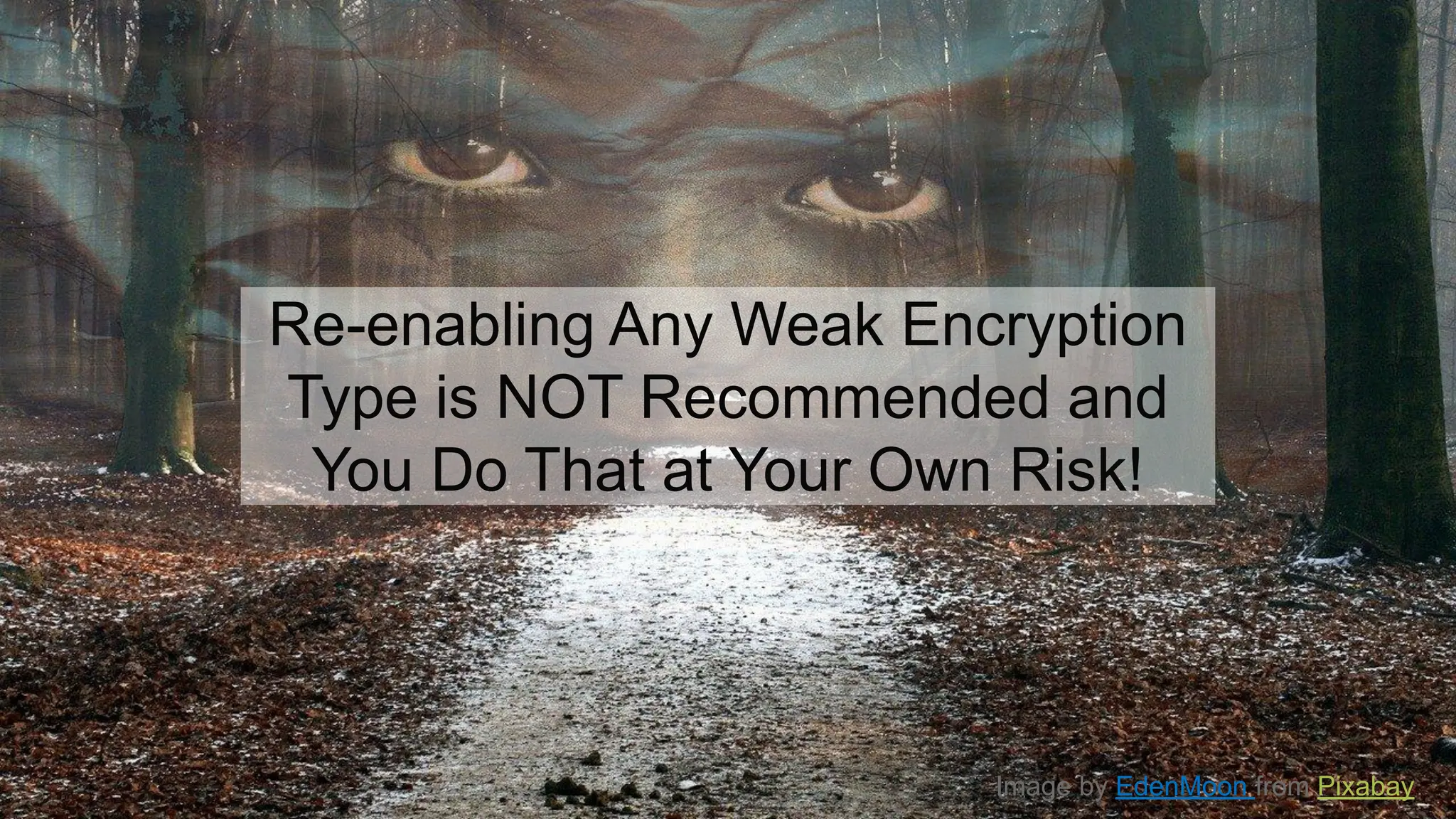 Image by EdenMoon from Pixabay
Re-enabling Any Weak Encryption
Type is NOT Recommended and
You Do That at Your Own Risk!
 
