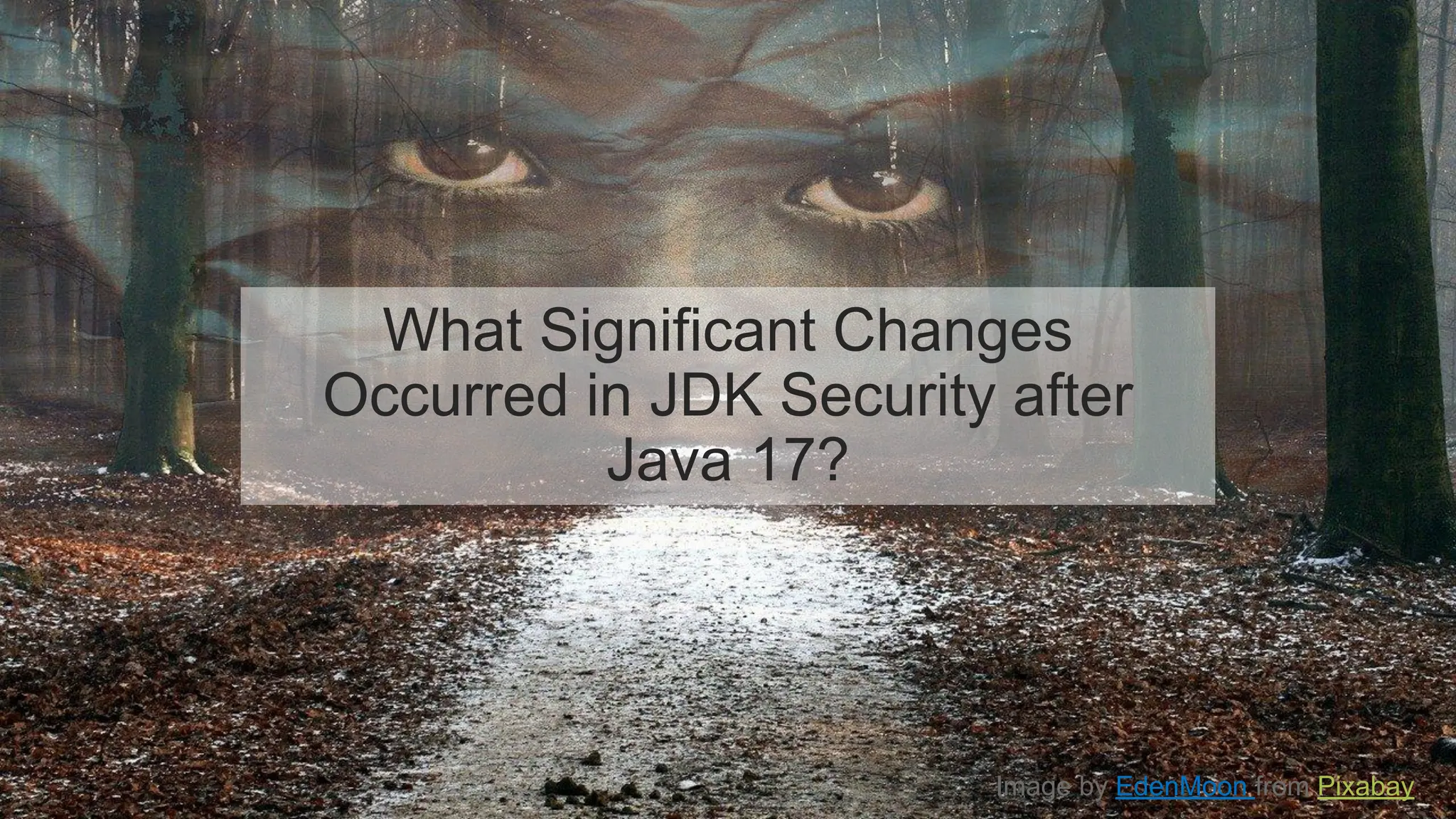 Image by EdenMoon from Pixabay
What Significant Changes
Occurred in JDK Security after
Java 17?
 