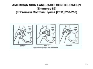 45 23
AMERICAN SIGN LANGUAGE: CONFIGURATION
(Emmorey 82)
(cf Fromkin Rodman Hyams [2011] 257-258)
 