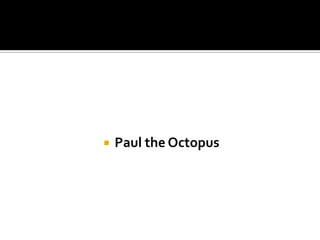    Paul the Octopus
 