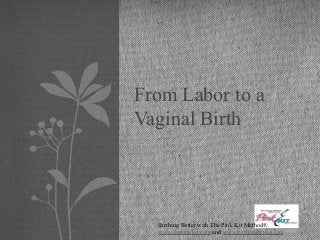 From Labor to a
Vaginal Birth
Birthing Better with The Pink Kit Method®
www.thepinkkit.com and www.birthingbetter.com
 
