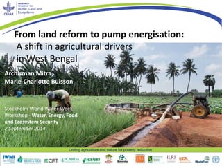 From land reform to pump 
energisation: a shift in 
agricultural drivers in West Bengal 
Archisman Mitra, Marie-Charlotte Buisson 
Stockholm World Water Week 
Workshop - Water, Energy, Food and Ecosystem Security 
2 September 2014 
Uniting agriculture and nature for poverty reduction 
 
