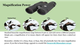 From Lens Coatings to Magnification: Demystifying the Key Features of ...