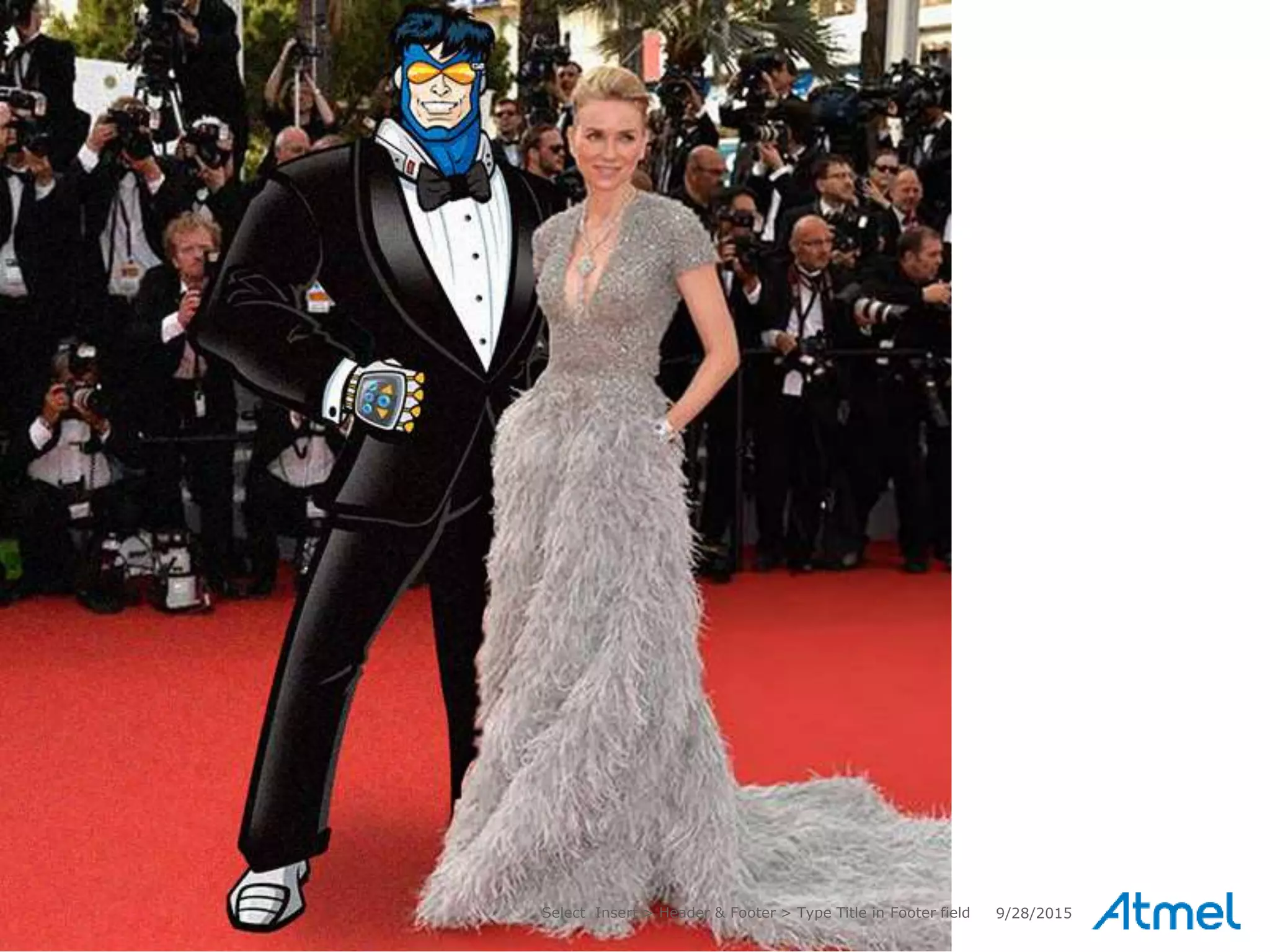 29 © 2014 Copyright Atmel Corporation 9/28/2015Select Insert > Header & Footer > Type Title in Footer field
 