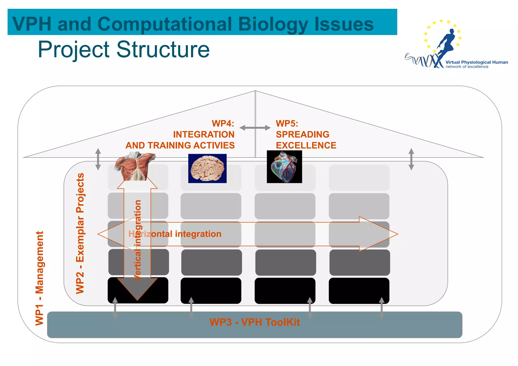 VPH and Computational Biology Issues
       Project Structure

                                                               WP4:                WP5:
                                                        INTEGRATION                SPREADING
                                               AND TRAINING ACTIVIES               EXCELLENCE
                     WP2 - Exemplar Projects




                                                Vertical integration
  WP1 - Management




                                                                       WP3 - VPH ToolKit
 