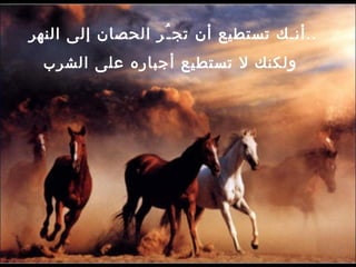 أنـك تستطيع أن تجـُر الحصان إلى النهر  .. ولكنك لا تستطيع أجباره على الشرب   